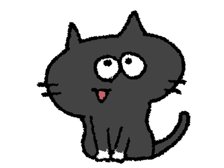 cat, cat, cute, a smile, JPG and PNG