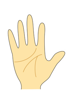 手のひらと手相（右手） 手のひら,手,手相,線,人体,指,掌,ハンド,右手のイラスト素材