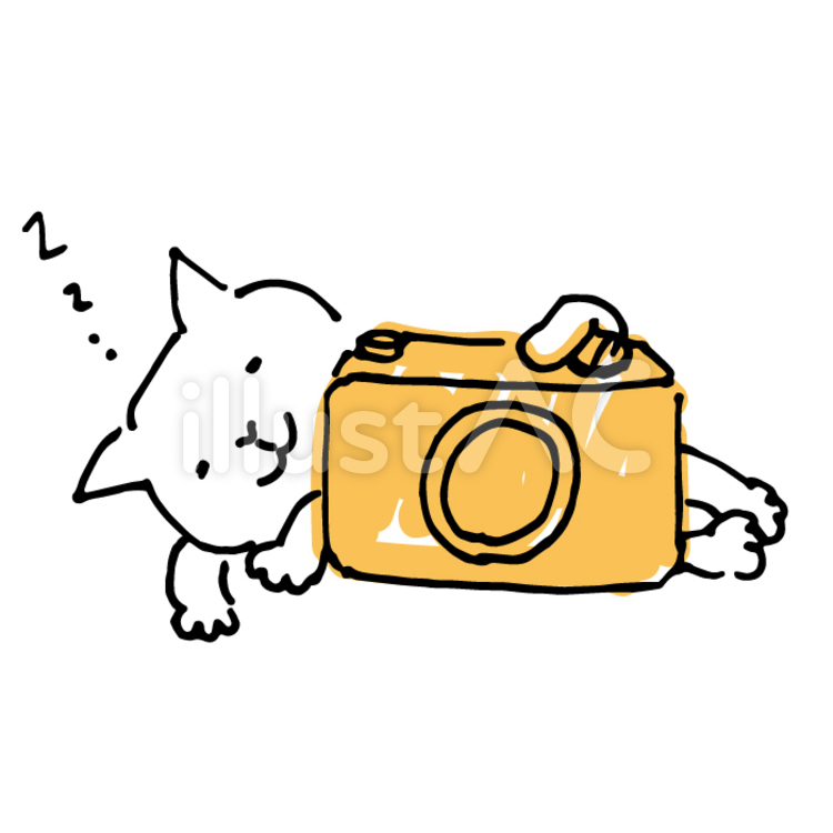 カメラの隣で眠っている猫の手描きイラスト ネコ,カメラ,可愛いのイラスト素材