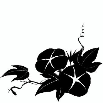 黒い朝顔のイラスト 朝顔,葉,花,ツル,植物,植え込み,黒,モノトーン,夏休み,暑中見舞いのイラスト素材