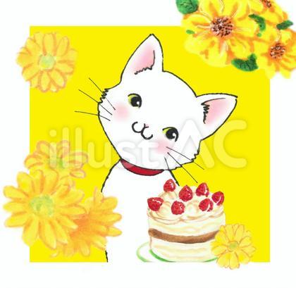 猫の誕生日