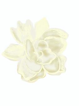 くちなしの白い花 クチナシ,花,白い,一つ,八重咲きのイラスト素材