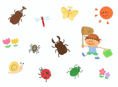 Illustration, JPG, PNG and AI Illustration, insect, insect bites, beetle, JPG, PNG and AI