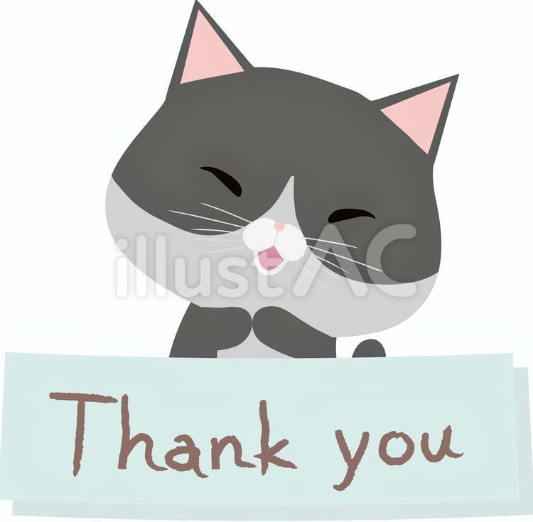 Thankyou_猫_はちわれ thankyou,猫,動物のイラスト素材