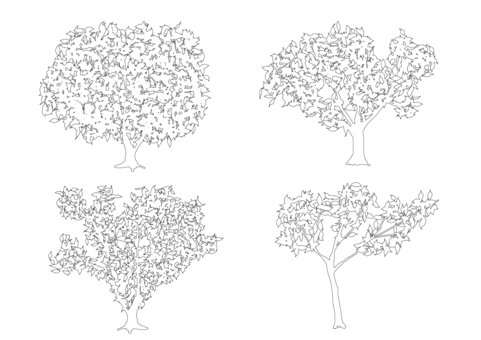 Illustration, monochrome, trees, natural, 