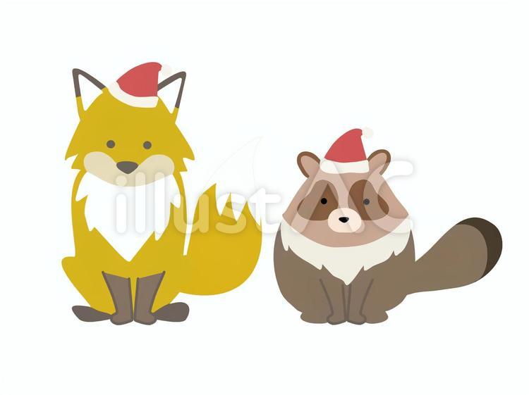 たぬきと狐クリスマス 狸,狐,動物のイラスト素材
