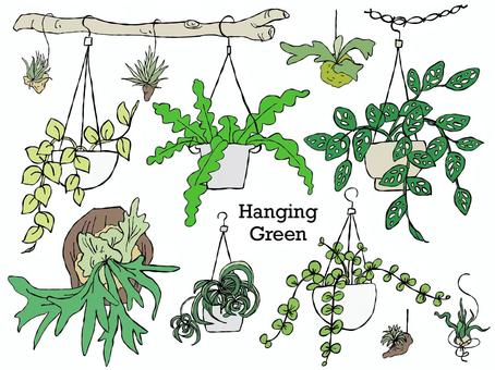 ハンギング観葉植物のイラストセット 観葉植物,植物,園芸,ビカクシダ,コウモリラン,マドカズラ,ポトス,エピフィラム,フィッシュボーンカクタス,ペペロミアのイラスト素材