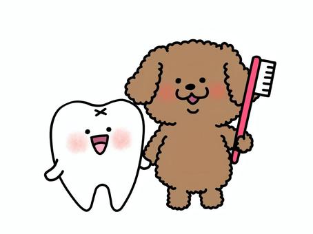 Tooth Decay Prevention Day Poodle, JPG and PNG Tooth Decay Prevention Day Poodle, poodle, dentifrice, brush, JPG and PNG