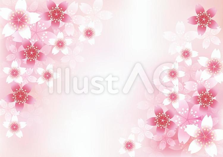 さくらの花43 花,桜,春のイラスト素材