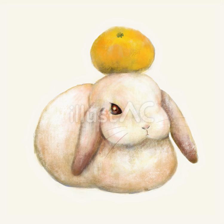 鏡もちウサギ ウサギ,みかん,干支のイラスト素材