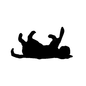 猫。。 鳴く,かわいい,座る,捨て猫,寝起き,ストレッチ,迷い猫,保護猫,走る,ダッシュのイラスト素材