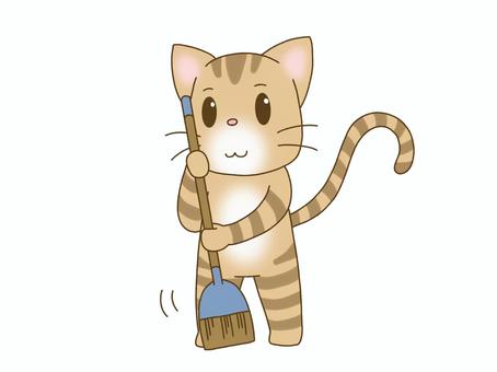 Illustration, cat, animal, clean up, 