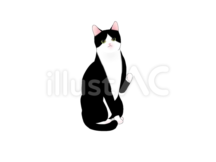 うちの猫 猫,子猫,かわいいのイラスト素材
