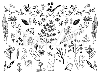 春のナチュラル草花手書きセット(黒)