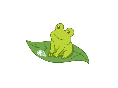 frog, a frog, creatures, leaf, JPG and PNG