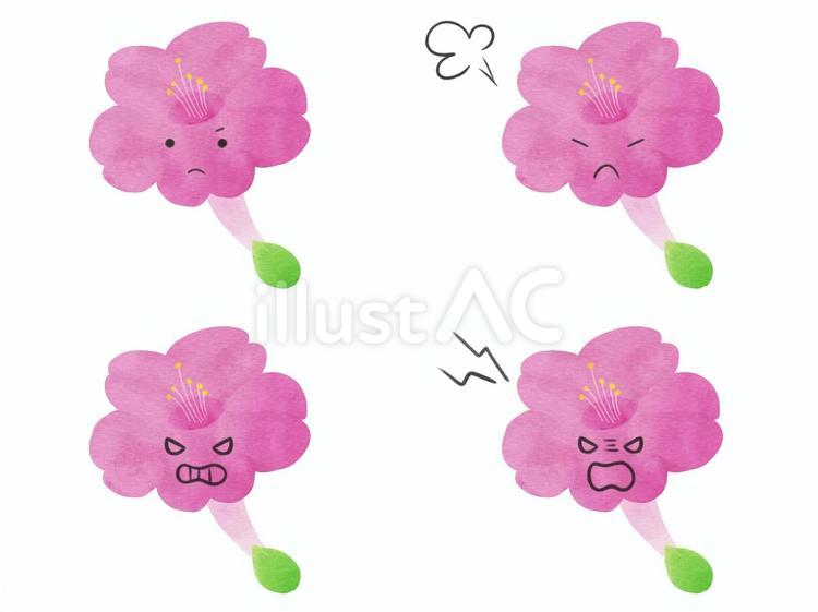 花のキャラの表情セット　怒　オシロイバナ オシロイバナ,花,キャラクターのイラスト素材