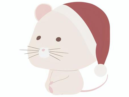 サンタ帽をかぶった白いねずみ