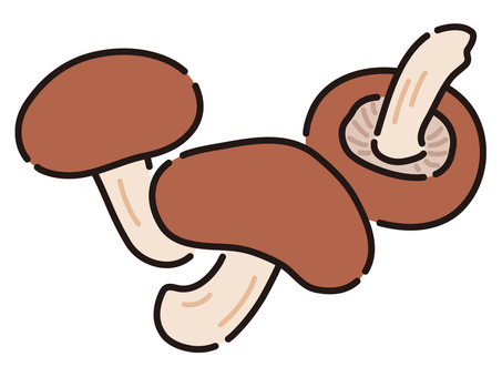 しいたけ しいたけ,椎茸,食材,具材,きのこ,鍋,秋のイラスト素材