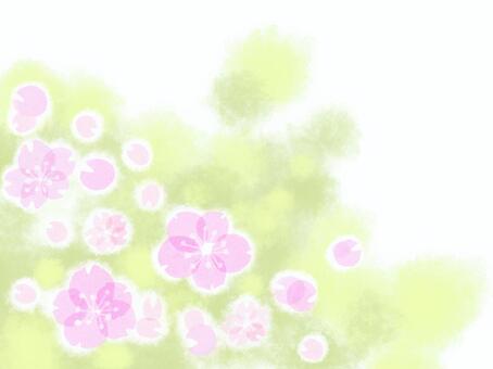 Sakura 7, plant, pink color, flower, JPG and PNG