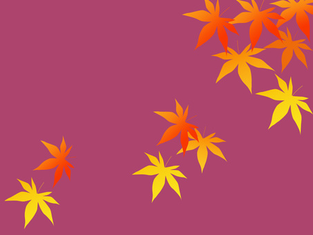 Illustration, maple, autumn, autumn leaves, 