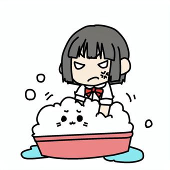 怒って猫を洗う少女 小学生,怒る,猫,洗う,キレイ,ムカムカ,不満,不快,不愉快,面倒のイラスト素材
