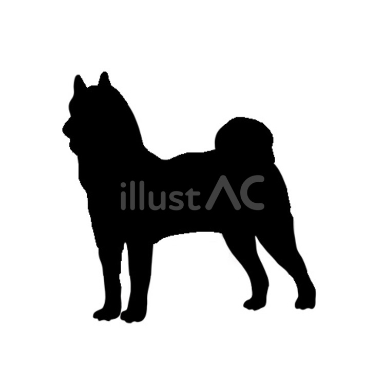 秋田犬。。 犬,シルエット,動物のイラスト素材