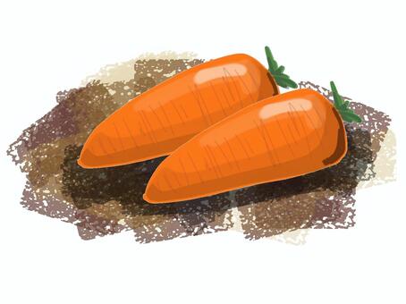 Illustration, ginseng, orange, JPG