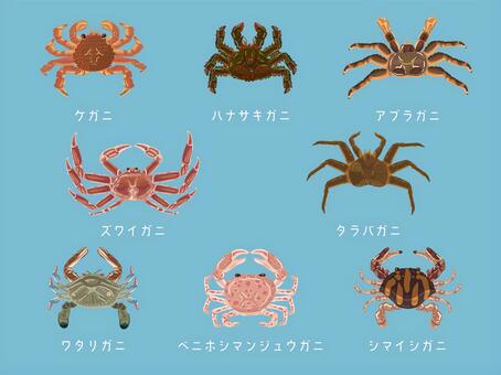 Illustration, set, crab, hairy crab, 