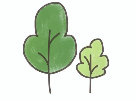 樹的父母和孩子, JPG 和 PNG 樹的父母和孩子, 森林, 自然, 植物, JPG 和 PNG