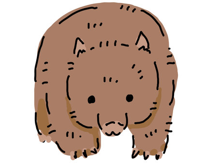 Wombat, JPG, PNG and AI Wombat, hime wombat, tiny, illustration, JPG, PNG and AI