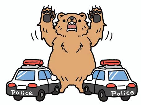 パトカーと熊 パトカーと熊 熊,パトカー,警察,害獣,ヒグマ,威嚇のイラスト素材