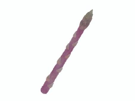 Illustration, purple asparagus, asparagus, vegetables, 