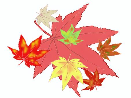 落ち葉 秋,色づき,もみじ,紅葉,落ち葉,紅葉狩り,四季,日本的,日本,和風のイラスト素材