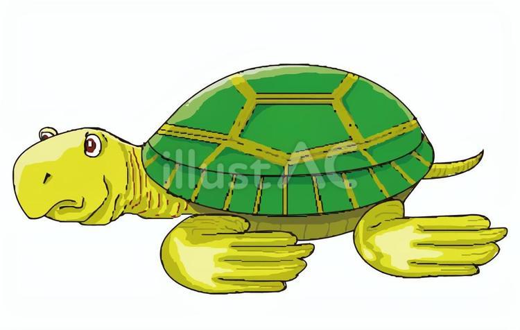 ウミガメで～す 爬虫類,ウミガメ,シンプルのイラスト素材
