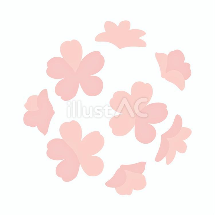 桜のあしらい 桜,フレーム,あしらいのイラスト素材