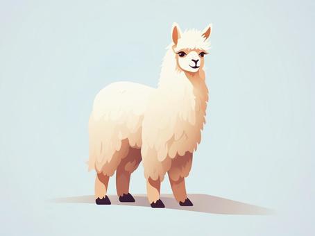 alpaca, alpaca, tiny, animal, JPG