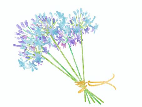 Illustration, flower, watercolor touch, beautiful, 