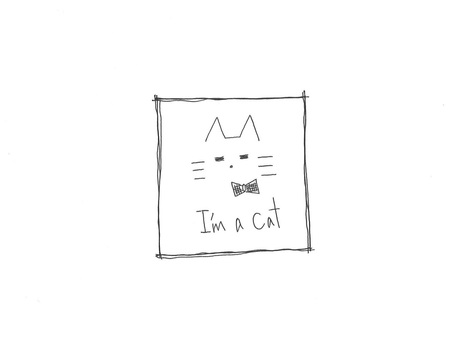 額入りCAT