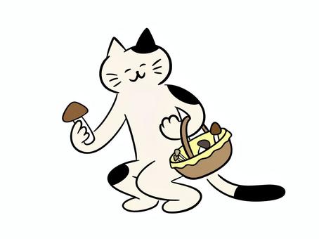きのこ狩りをする猫（カラー） 猫,きのこ狩り,きのこ,菌類,秋,旬,バスケット,暮らし,かわいい,ゆるいのイラスト素材
