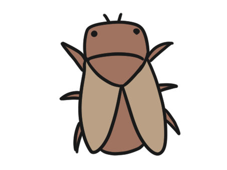 セミ(茶色)  シンプル挿絵イラスト 生き物,動物,セミ,虫,羽,夏,せみ,虫取り,昆虫採集,昆虫のイラスト素材