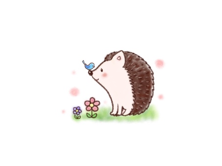 Hedgehog and little bird, hedgehog, birdie, animal, JPG and PNG