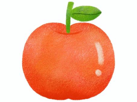 葉っぱの付いた赤い林檎 りんご,果物,フルーツ,果実,おやつ,デザート,秋,冬,味覚,旬のイラスト素材