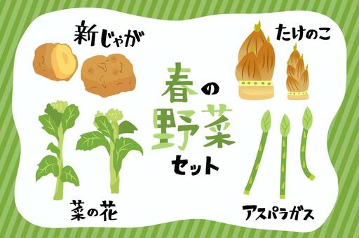 Illustration, spring vegetables, set, assortment, 