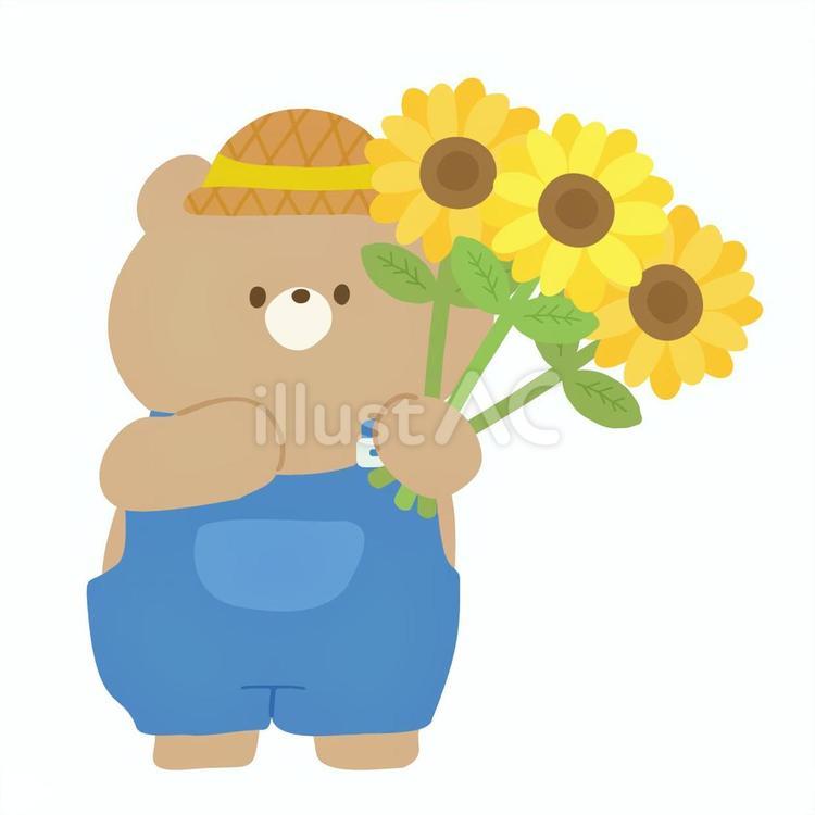 夏服姿でひまわを3本持つくまさん くま,動物,生き物のイラスト素材