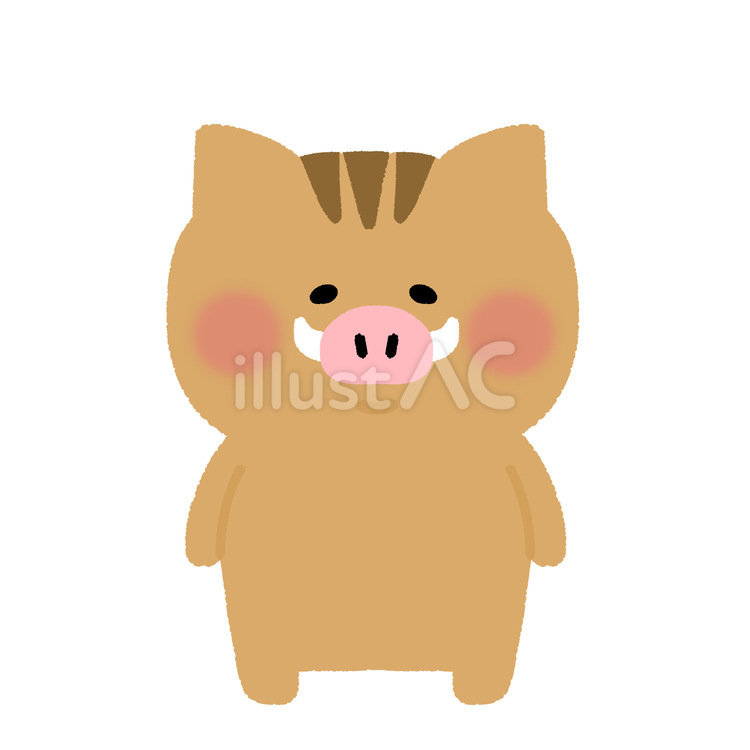 猪(亥) 猪,亥,干支のイラスト素材