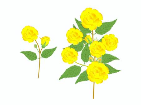 Illustration, rose, flower, yellow, 