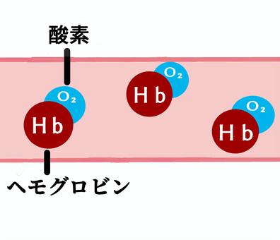 hemoglobin, hemoglobin, oxygen, blood vessels, JPG and PNG