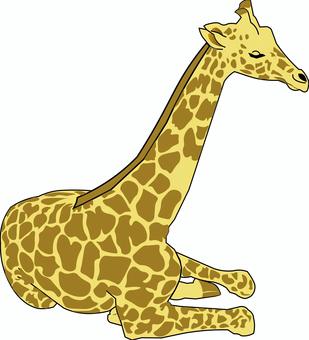Sitting giraffe, JPG and PNG Sitting giraffe, giraffe, unicorn, animal, JPG and PNG
