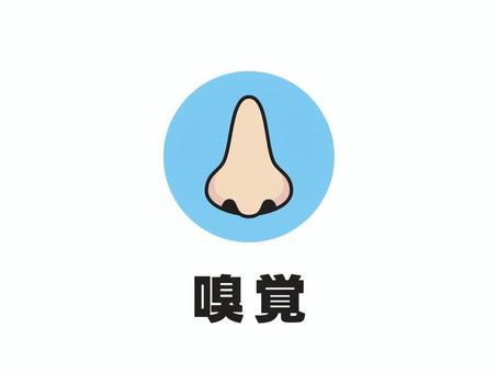五感のパーツ 嗅覚 鼻2 五感のパーツ 嗅覚 鼻2 嗅覚,鼻,臭う,匂う,嗅ぐ,臭い,匂い,香り,臭覚,おしゃれのイラスト素材