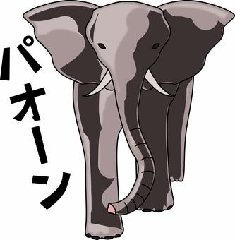 ゾウ正面 ゾウ,鼻,長い,動物園,野生,外国,大きい,線画,正面,鳴き声のイラスト素材